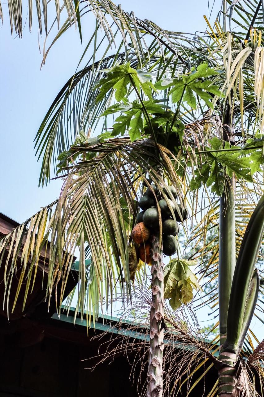 Palo Rosa Lodge Puerto Iguazú Zewnętrze zdjęcie